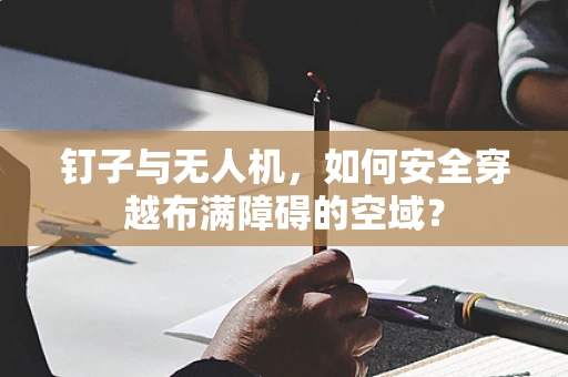钉子与无人机，如何安全穿越布满障碍的空域？