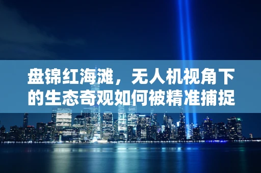盘锦红海滩，无人机视角下的生态奇观如何被精准捕捉？