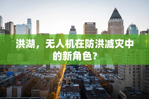 洪湖，无人机在防洪减灾中的新角色？