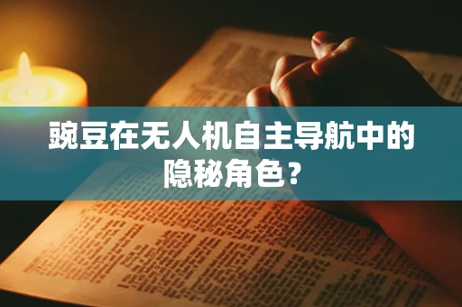 豌豆在无人机自主导航中的隐秘角色？