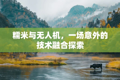 糯米与无人机，一场意外的技术融合探索