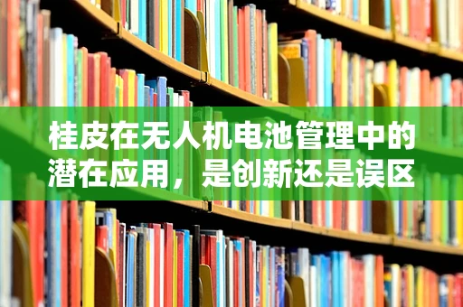 桂皮在无人机电池管理中的潜在应用，是创新还是误区？