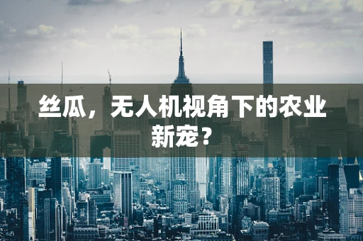 丝瓜，无人机视角下的农业新宠？