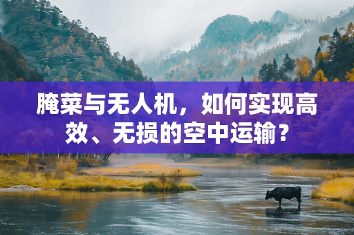 腌菜与无人机，如何实现高效、无损的空中运输？