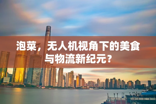 泡菜，无人机视角下的美食与物流新纪元？