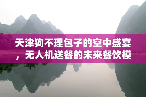 天津狗不理包子的空中盛宴，无人机送餐的未来餐饮模式？