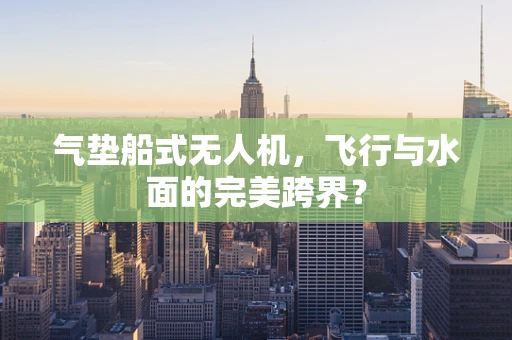 气垫船式无人机，飞行与水面的完美跨界？