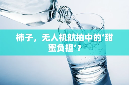 柿子，无人机航拍中的‘甜蜜负担’？