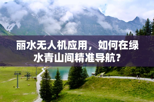 丽水无人机应用，如何在绿水青山间精准导航？