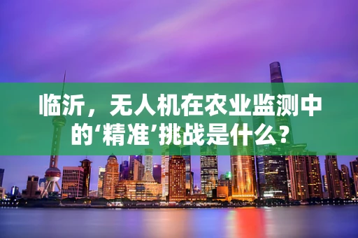 临沂，无人机在农业监测中的‘精准’挑战是什么？