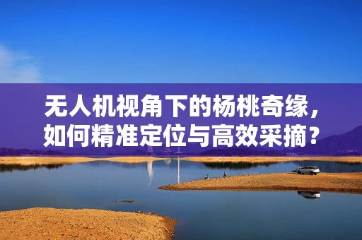 无人机视角下的杨桃奇缘，如何精准定位与高效采摘？