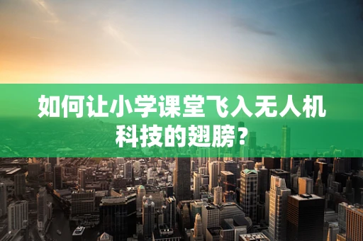 如何让小学课堂飞入无人机科技的翅膀？