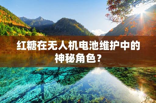 红糖在无人机电池维护中的神秘角色？