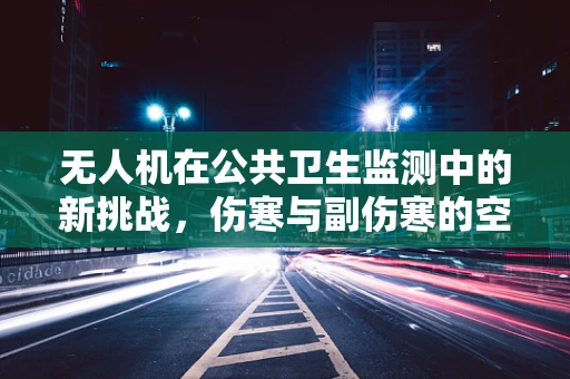 无人机在公共卫生监测中的新挑战，伤寒与副伤寒的空中侦察