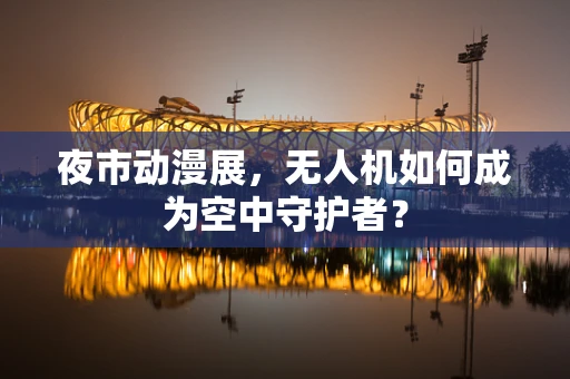 夜市动漫展，无人机如何成为空中守护者？