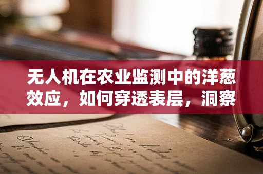 无人机在农业监测中的洋葱效应，如何穿透表层，洞察深层信息？
