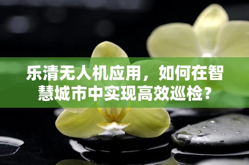 乐清无人机应用，如何在智慧城市中实现高效巡检？