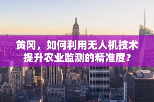 黄冈，如何利用无人机技术提升农业监测的精准度？