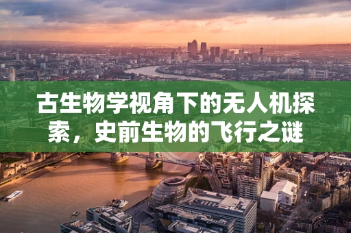古生物学视角下的无人机探索，史前生物的飞行之谜