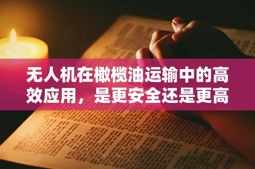 无人机在橄榄油运输中的高效应用，是更安全还是更高效？
