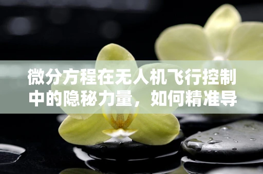微分方程在无人机飞行控制中的隐秘力量，如何精准导航？