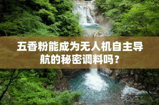 五香粉能成为无人机自主导航的秘密调料吗？