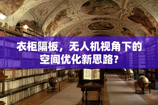 衣柜隔板，无人机视角下的空间优化新思路？