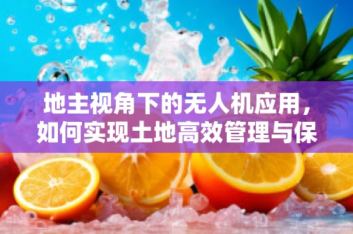 地主视角下的无人机应用，如何实现土地高效管理与保护？