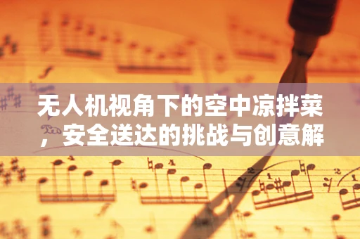 无人机视角下的空中凉拌菜，安全送达的挑战与创意解决方案？