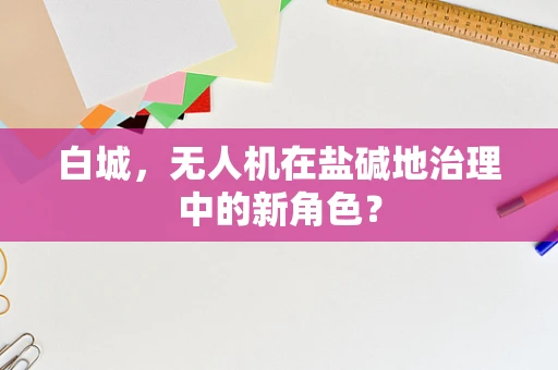 白城，无人机在盐碱地治理中的新角色？