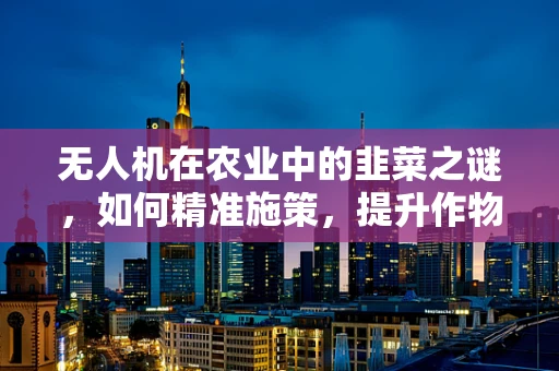 无人机在农业中的韭菜之谜，如何精准施策，提升作物效益？