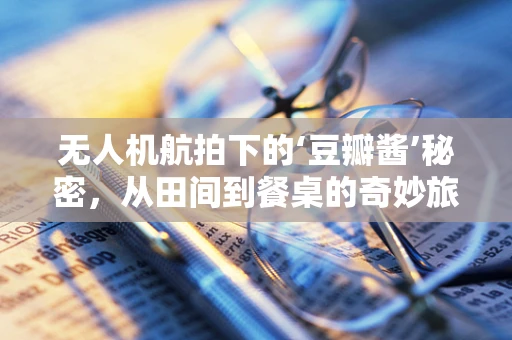 无人机航拍下的‘豆瓣酱’秘密，从田间到餐桌的奇妙旅程