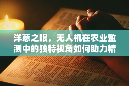 洋葱之眼，无人机在农业监测中的独特视角如何助力精准农业？