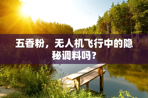 五香粉，无人机飞行中的隐秘调料吗？