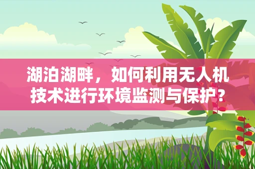 湖泊湖畔，如何利用无人机技术进行环境监测与保护？