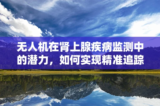 无人机在肾上腺疾病监测中的潜力，如何实现精准追踪与评估？