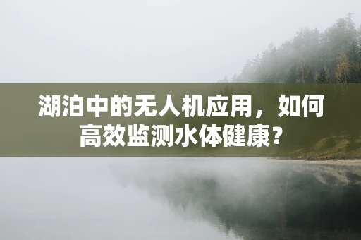 湖泊中的无人机应用，如何高效监测水体健康？