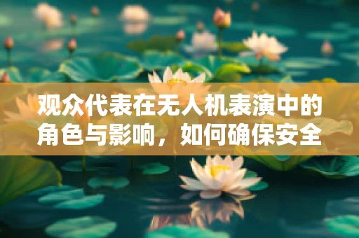 观众代表在无人机表演中的角色与影响，如何确保安全与体验的双重保障？