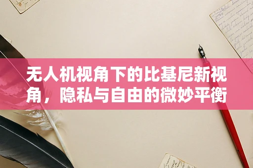 无人机视角下的比基尼新视角，隐私与自由的微妙平衡