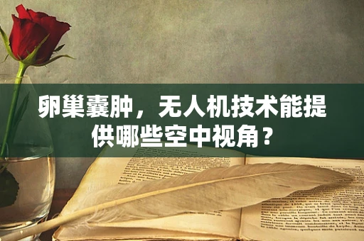 卵巢囊肿，无人机技术能提供哪些空中视角？