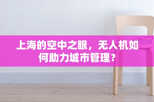 上海的空中之眼，无人机如何助力城市管理？
