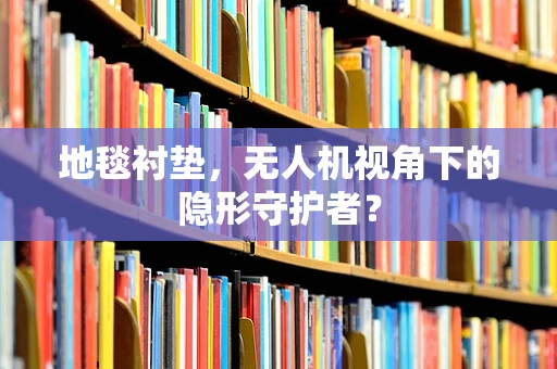 地毯衬垫，无人机视角下的隐形守护者？