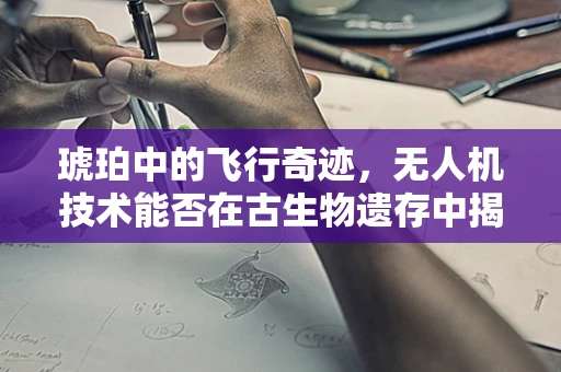 琥珀中的飞行奇迹，无人机技术能否在古生物遗存中揭秘？