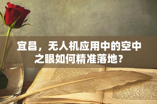 宜昌，无人机应用中的空中之眼如何精准落地？