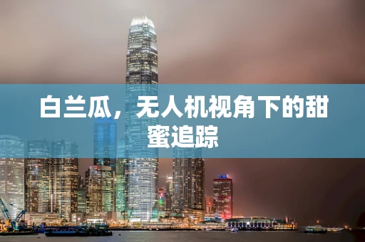白兰瓜，无人机视角下的甜蜜追踪