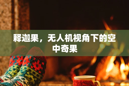 释迦果，无人机视角下的空中奇果