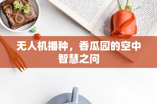 无人机播种，香瓜园的空中智慧之问