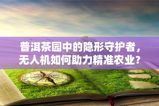 普洱茶园中的隐形守护者，无人机如何助力精准农业？