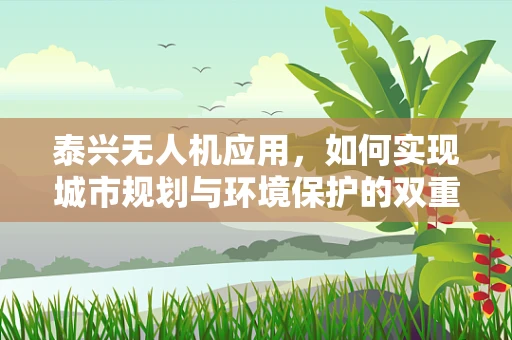 泰兴无人机应用，如何实现城市规划与环境保护的双重目标？