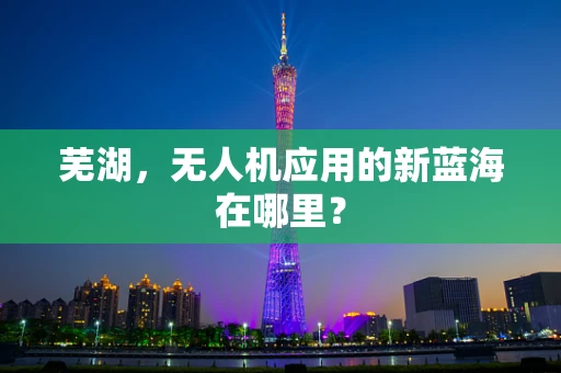 芜湖，无人机应用的新蓝海在哪里？